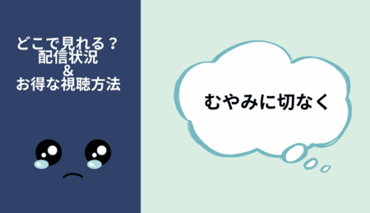 韓国ドラマ『むやみに切なく』はNetflixやAmazonプライムなどでは見られない？サブスクの配信状況を調査