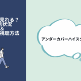 アンダーカバーハイスクール