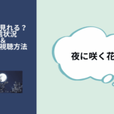 夜に咲く花